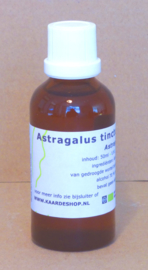 Astragalus-tincture 50 ml