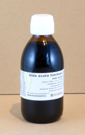 Sida acuta teinture mère 250ml