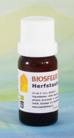 Herfstaster tinctuur 10 ml