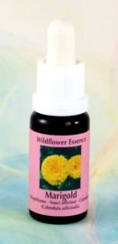 Essenz Ringelblume (Calendula) Stockflasche 15 ml