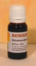 Schwarznessel Urtinktur 10 ml