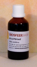 Druifblad tinctuur 50 ml