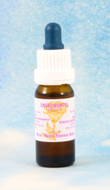 Essenz Engelwurz Stockflasche​ 10 ml