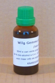 Gemmo Weide (Knospenextrakt) 30 ml