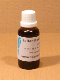 Spilanthes teinture mère 30 ml