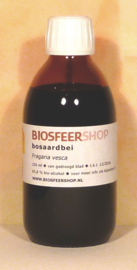 Bosaardbei tinctuur 250ml