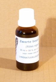 Schwarze Beeren Urtinktur 30 ml