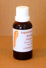 Japanischer Staudenknöterich Urtinktur 30 ml