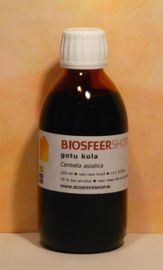 Gotu kola teinture mère 250 ml