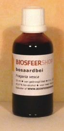 Bosaardbei tinctuur 50ml