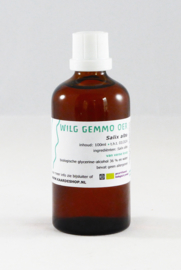 Gemmo Weide (Knospenextrakt) 100 ml