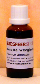 Weegbree tinctuur 30ml