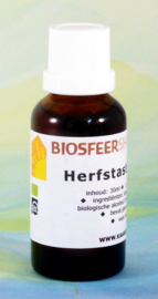 Herfstaster tinctuur 30 ml