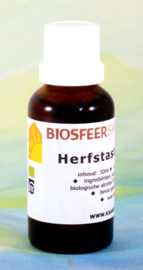 Herfstaster tinctuur 50 ml