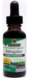 Astragalus alkoholfreie Tinktur 30ml