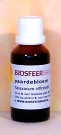 Paardenbloem tinctuur 30ml