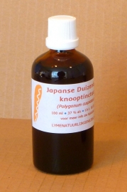 Renouée du Japon teinture mère 100 ml