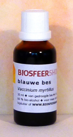 Blauwe bes tinctuur 30ml