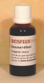 Bosaardbei tinctuur 30ml