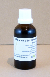 Sida acuta tinctuur 50 ml