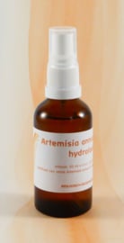 Artemisia annua hydrolate 50 ml