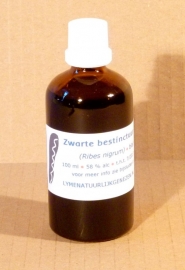 Blackcurrant tincture 100 ml