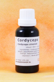 Cordyceps sinensis extrait liquide 30 ml