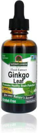 Ginkgo Blatt alkoholfreie Tinktur 30ml