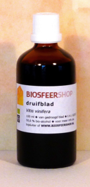 Druifblad tinctuur 100 ml