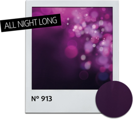 Nagellak All Night Long 913