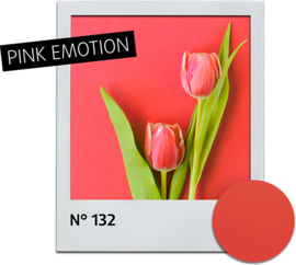 Nagellak Pink Emotion 132