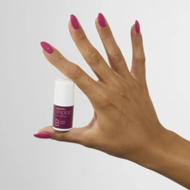 Striplac 137 Petite Nana 6,5 ml .