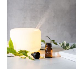 Aroma Diffuser 500 ml.