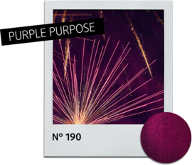 Nagellak Purple Purpose 190