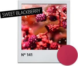 Nagellak Sweet Blackberry 141