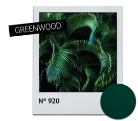 Nagellak Greenwood 920