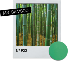 Nagellak Mr. Bamboo 922