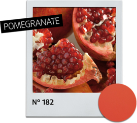 Nagellak Pomegranate  182