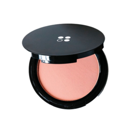 ALL YOU NEED - NATURAL COMPACT POWDER
