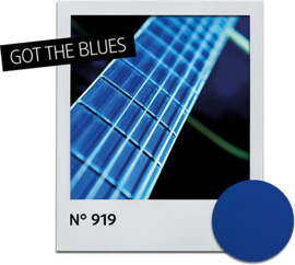 Nagellak Got The Blues 919