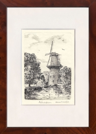 Schiedam Molen de Walvisch