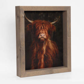 Strandafbeelding ( Longhorn donker ) met houten lijst