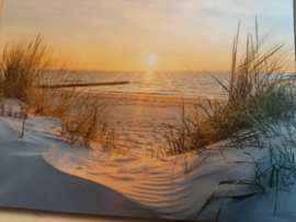 Poster indoor&outdoor  ondergaande zon/duinen