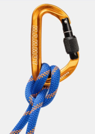 Mammut Sender carabiner met schroefsluiting