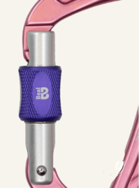 Beal Be Quick (Screw)