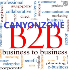 Business / B2B purchases at CanyonZone