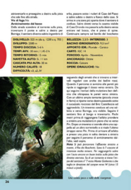 Canyoning Nord Italia