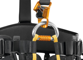 Petzl Falcon Ascent harness
