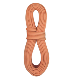 BlueWater Ropes 9.2mm Canyon DS