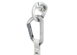 Petzl Coeur Bolt Stainless